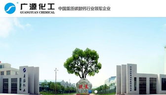 國內(nèi)重鈣行業(yè)十強(qiáng)企業(yè)概況