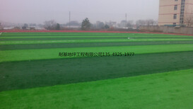 學(xué)校運動場人造草地坪EPDM塑膠跑道運動場耐基地坪涂料及施工哪家好